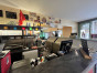 immobilier eymet