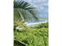immobilier le moule