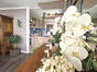 immobilier seynod