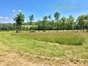 immobilier saint jean de cole
