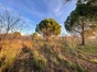 immobilier paulhan
