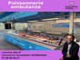 immobilier questembert