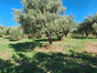 immobilier vagnas