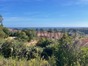 immobilier folelli