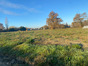 immobilier sainte eulalie