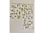 immobilier maule