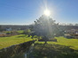 immobilier saint maxire
