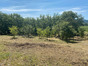 immobilier saint alban auriolles