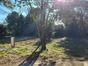 immobilier saint georges d orques