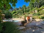 Maison à vendre Saint Florent Sur Auzonnet