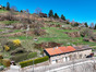 immobilier bourg argental