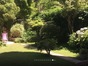 immobilier l arbresle
