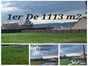 immobilier montfort sur risle