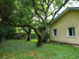 immobilier sainte eulalie