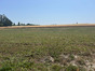 immobilier mornac sur seudre