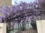 immobilier durban corbieres