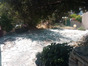 immobilier saint gely du fesc