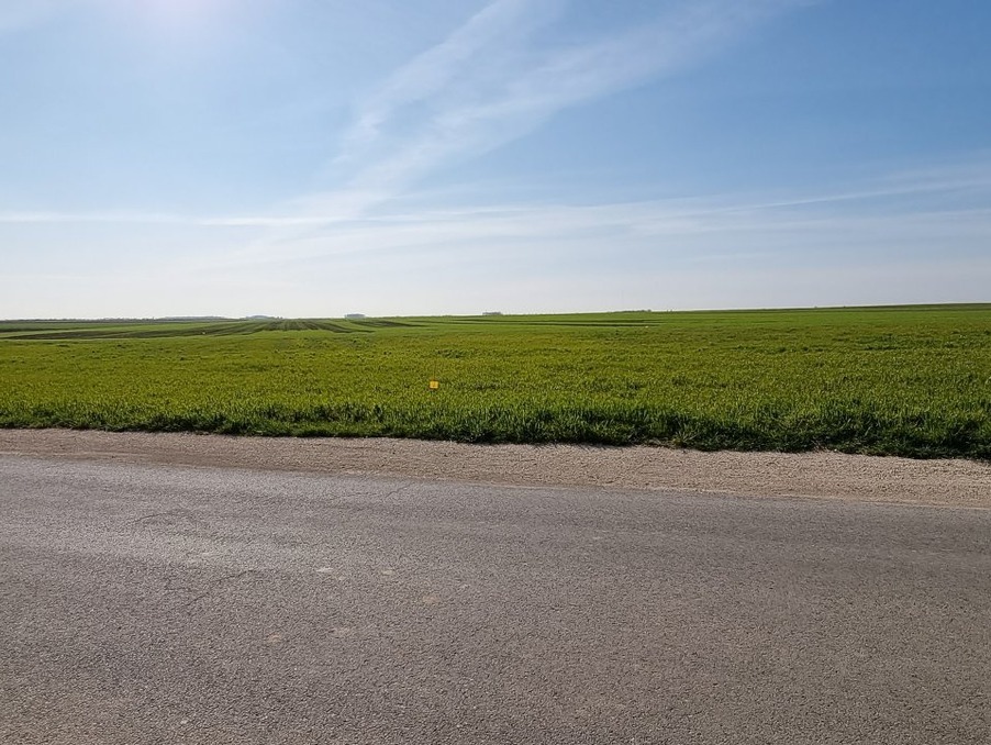 Vente Terrain CROTTES EN PITHIVERAIS 43 000 €