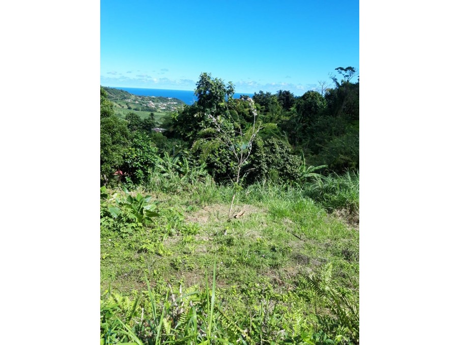 Vente Terrain SAINTE MARIE  110 250 €