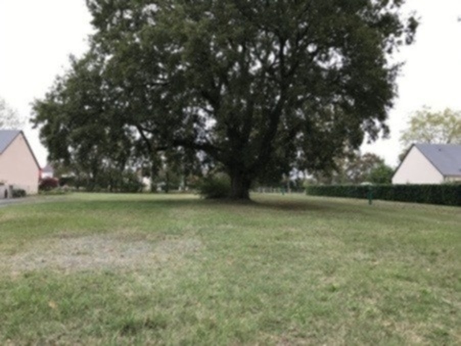 Vente Terrain CHATEAU LA VALLIERE 40 000 €