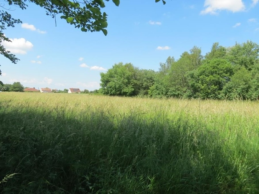 Vente Terrain JALLANGES 50 000 €