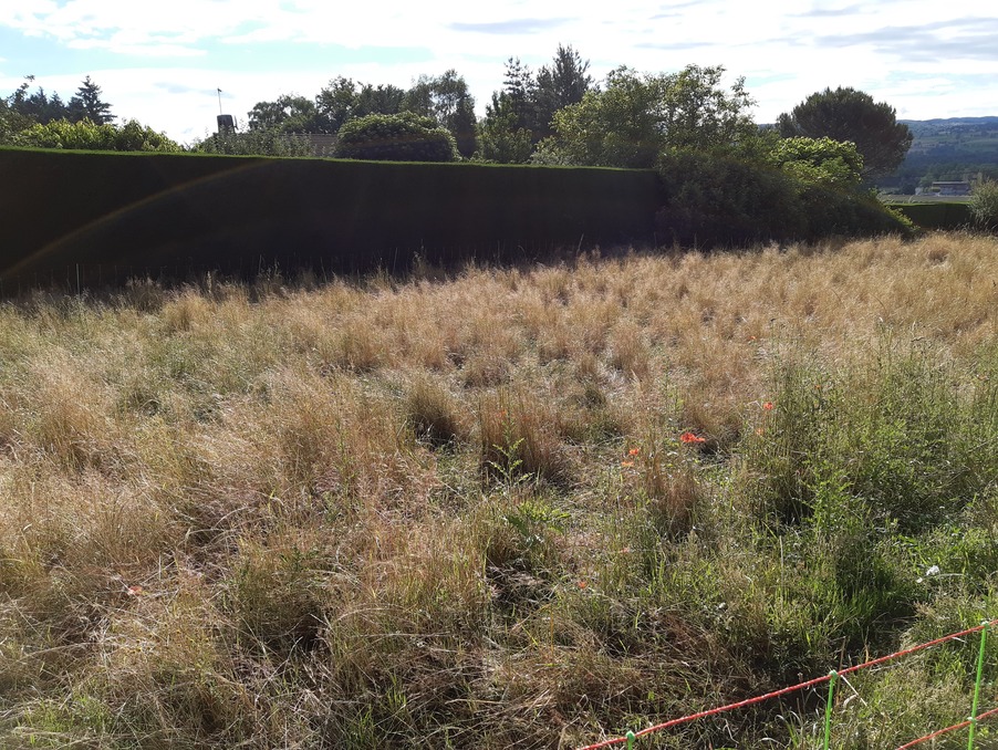 Vente Terrain BAS EN BASSET 39 000 €