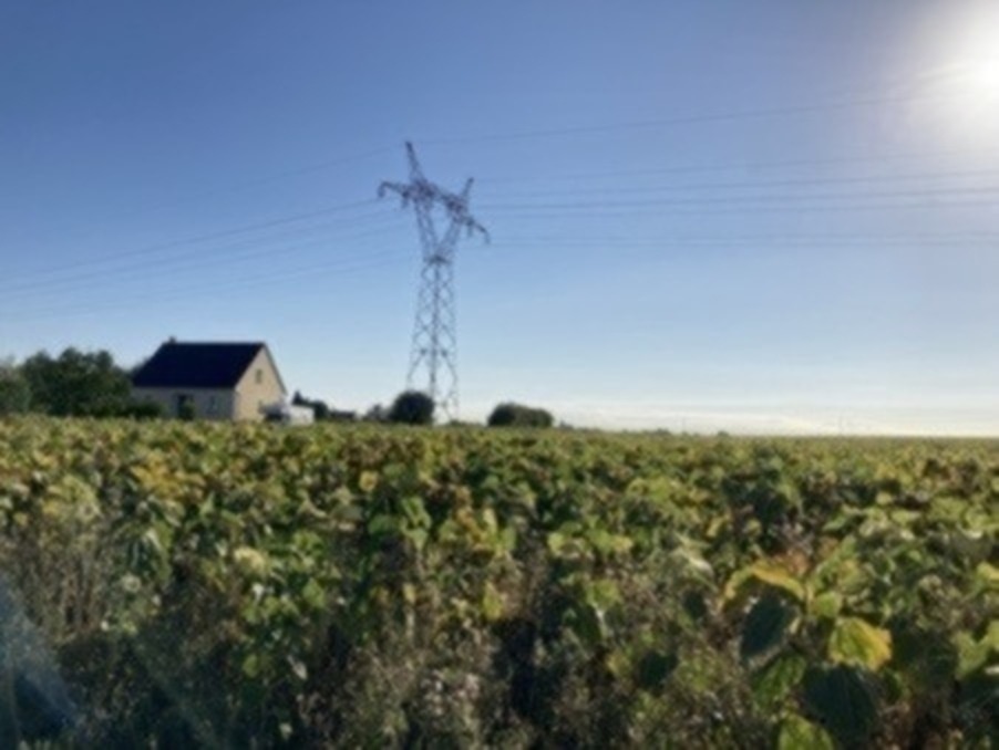 Vente Terrain COUESMES  128 000 €