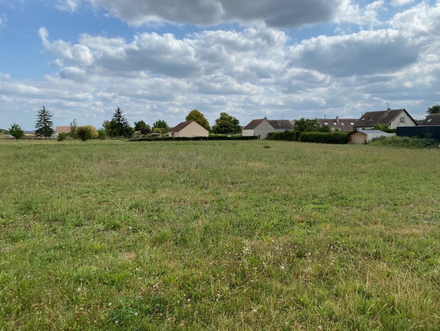 Vente Neuf VILLEREAU 54 500 €