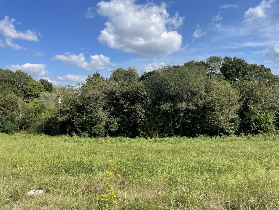 Vente Terrain QUIMPER 41 000 €