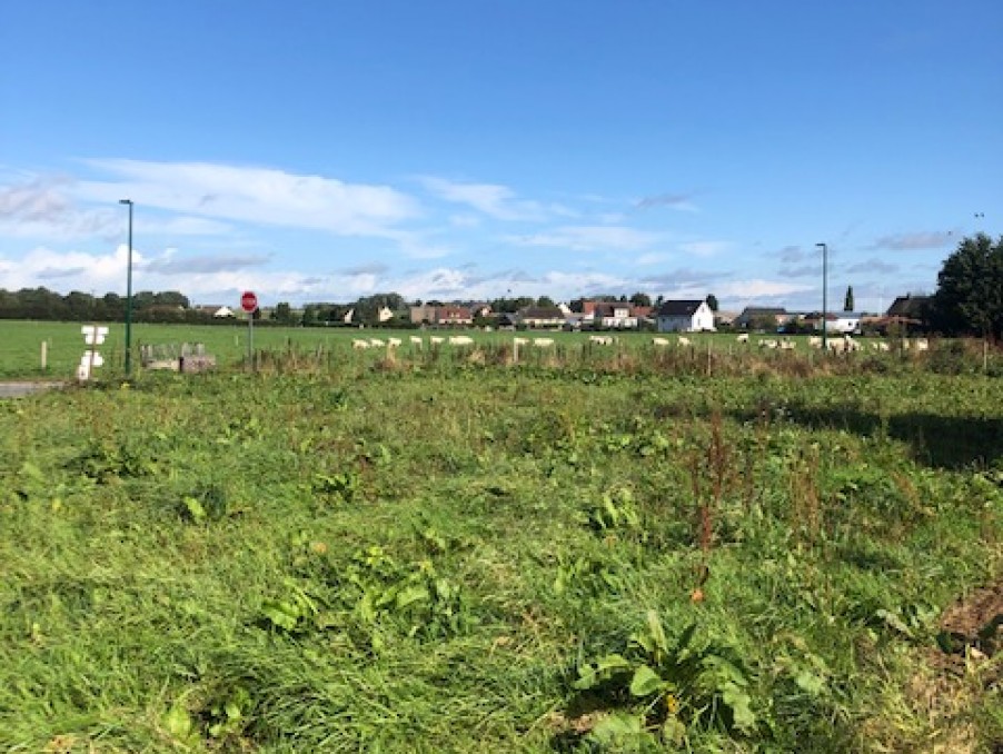 Vente Neuf ESTEVILLE 53 000 €