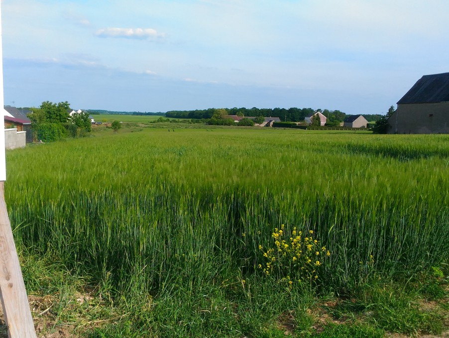 Vente Neuf BACCON 57 900 €