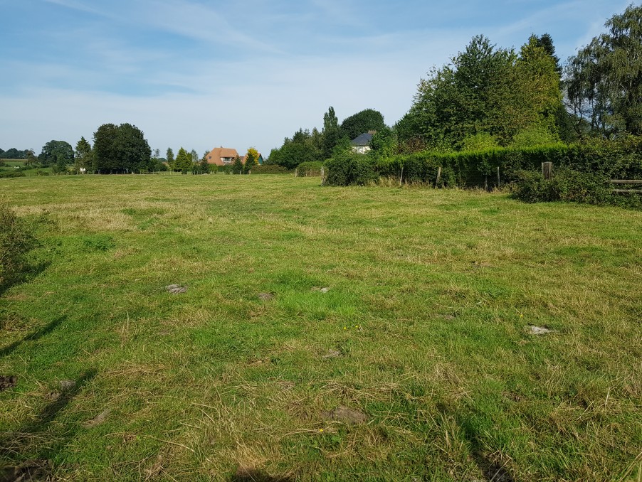 Vente Neuf CATENAY 55 000 €
