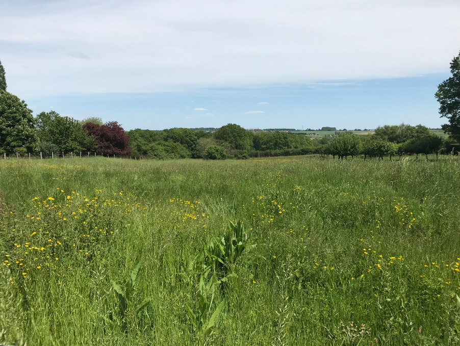 Vente Terrain Saint georges sur baulche 55 000 €