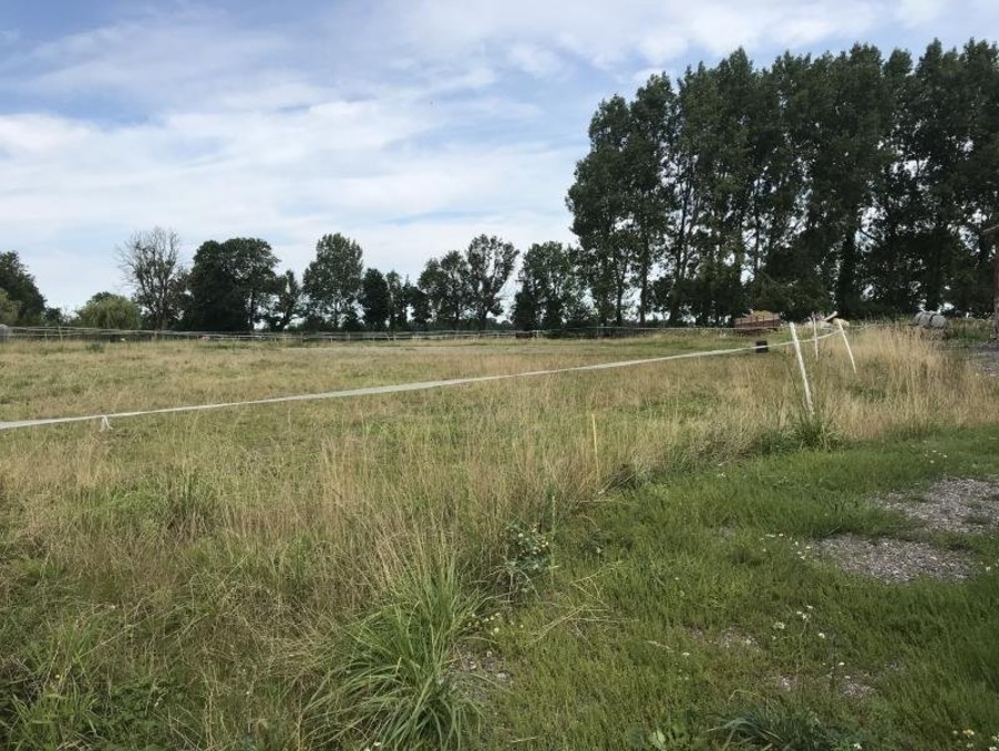 Vente Terrain Boisdinghem 65 000 €