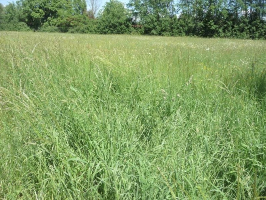 Vente Terrain Brion 29 500 €