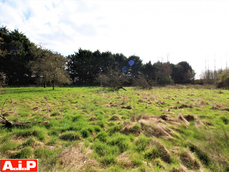 Vente Terrain CERIZAY 69 500 €