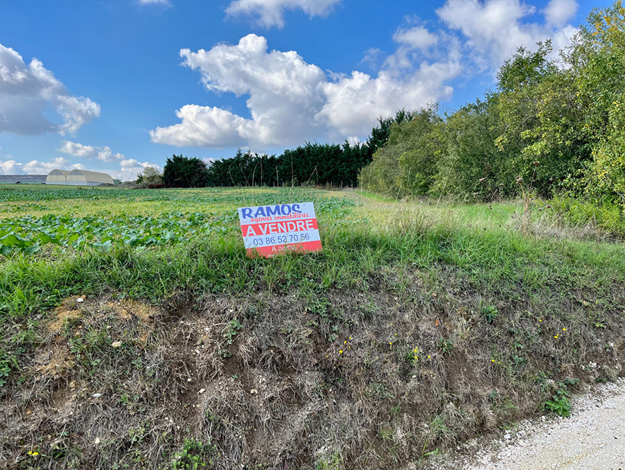 Vente Terrain Guerchy 28 000 €
