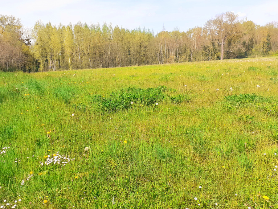 Vente Terrain Fleury la vallee 38 000 €