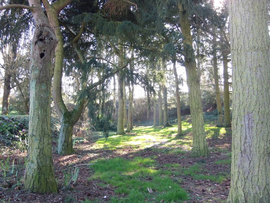 Vente Autre Maintenon  580 000 €
