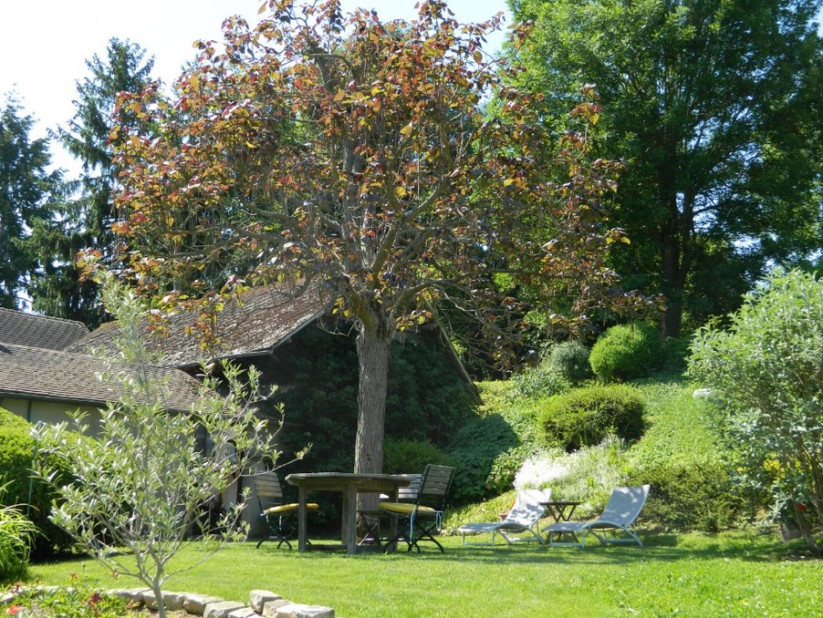 Vente Autre Maintenon  441 000 €