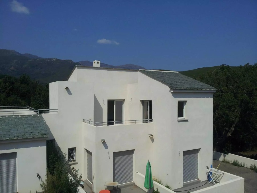Location Appartement Sisco  580 €