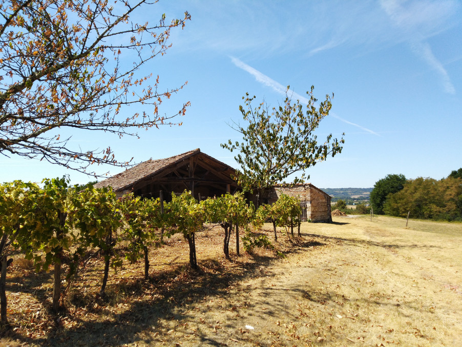 Vente Maison MONTPEZAT 66 000 €