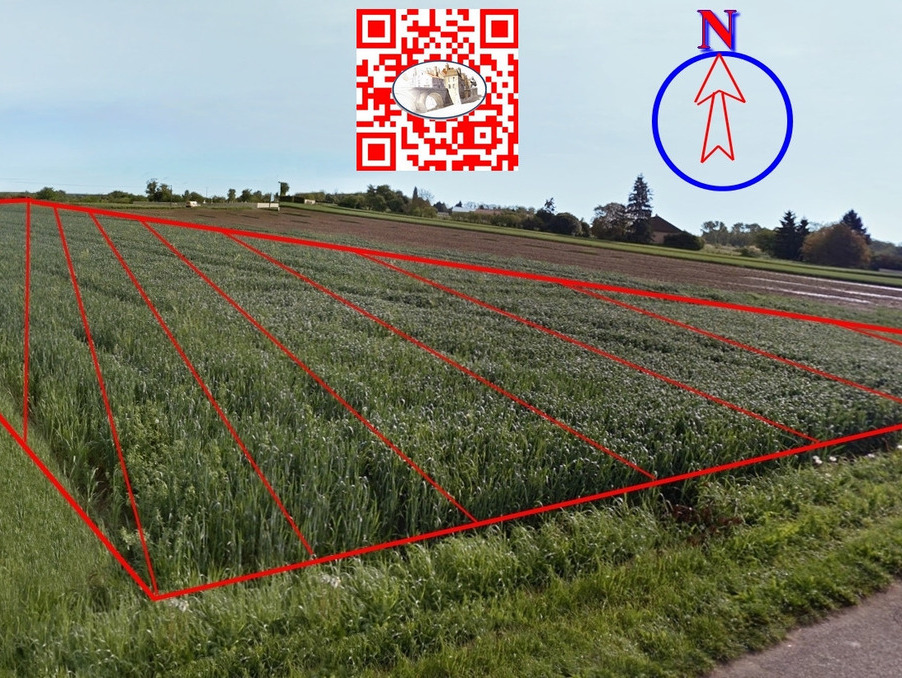 Vente Terrain Verdun sur le doubs 32 500 €