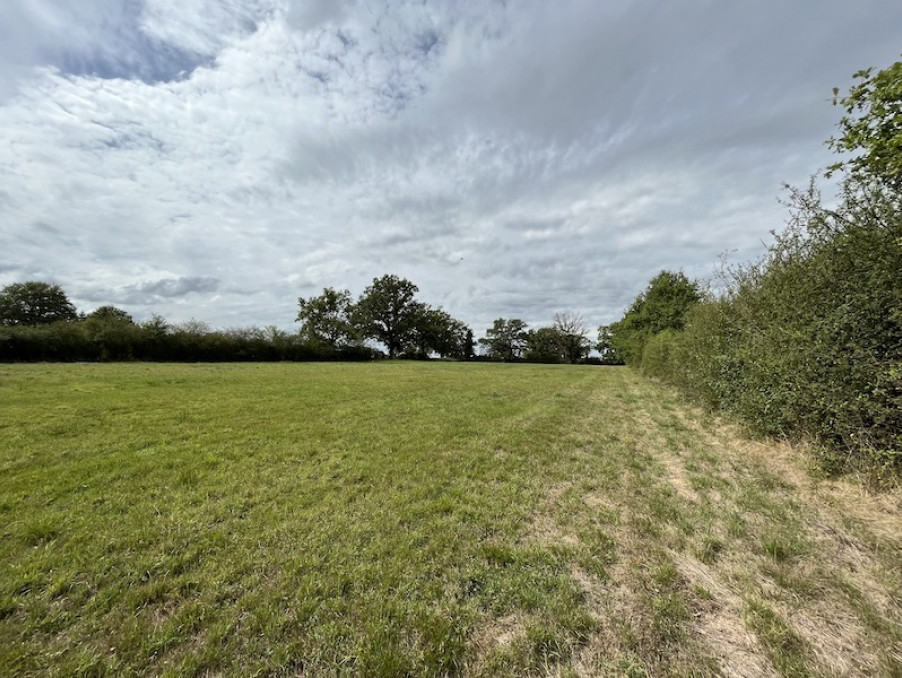 Vente Terrain Chaillac 42 500 €