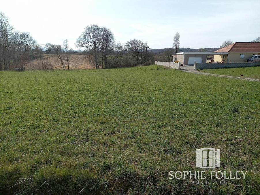 Vente Terrain Sauveterre-de-Béarn 66 000 €