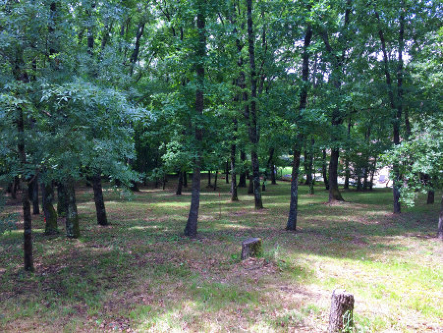 Vente Terrain LEGUEVIN  230 000 €