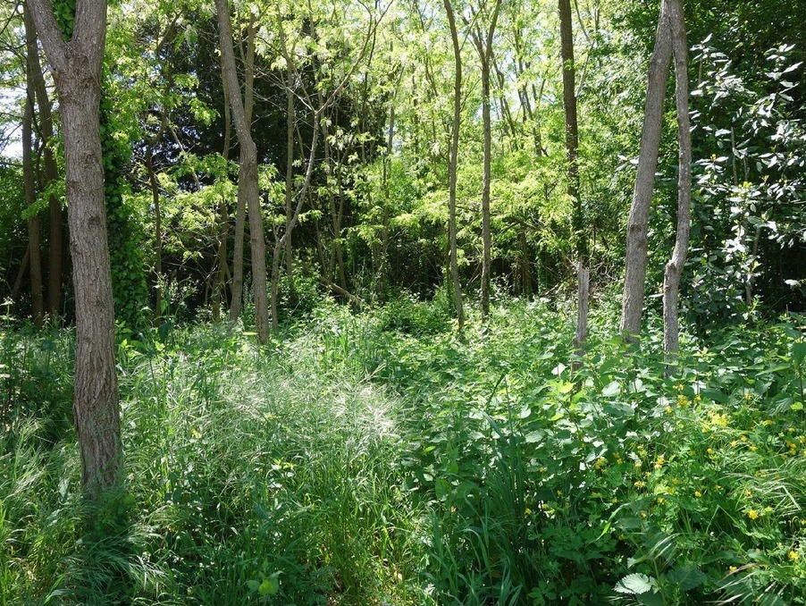 Vente Terrain St Andre De Cubzac  472 500 €