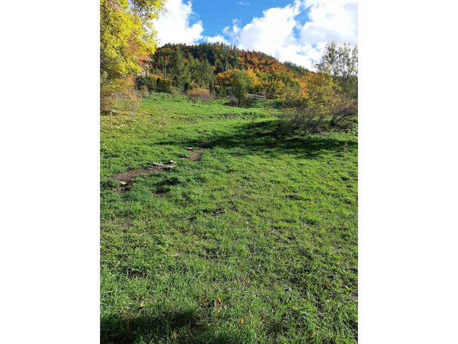 Vente Terrain Saint-Léger-les-Mélèzes 82 000 €
