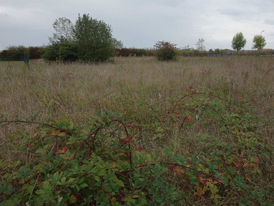 Vente Terrain Blaye 81 000 €