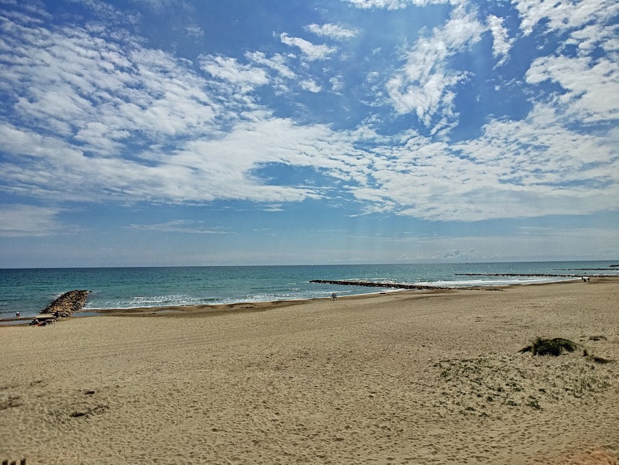 Location Appartement CARNON PLAGE  877 €
